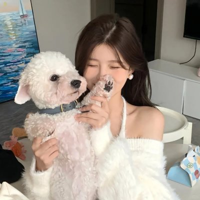 热门剧集